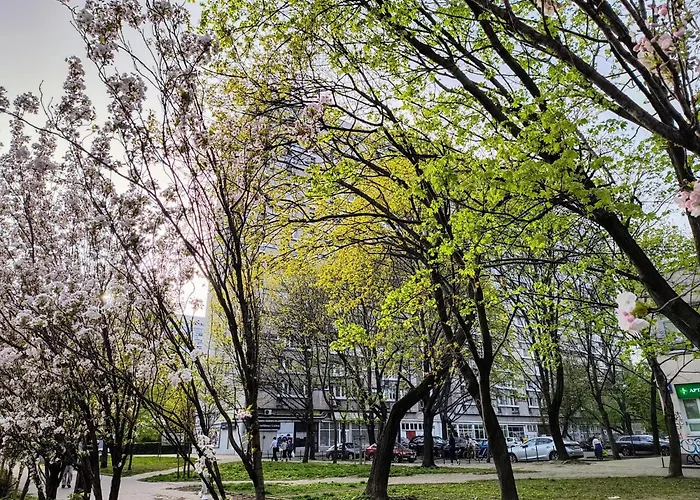 10th Floor Centrum Apartman *